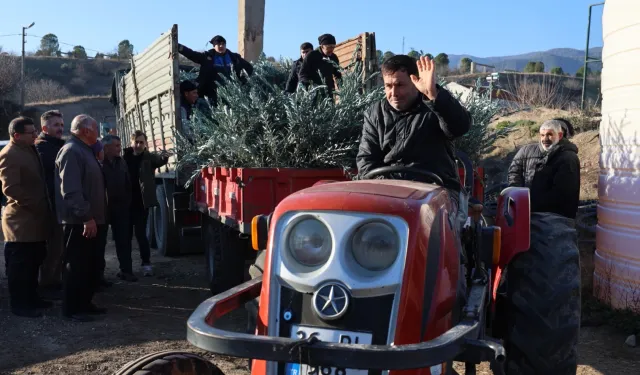 Eskişehir'de zeytincilik yaygınlaştırılacak... 17 bin Gemlik zeytin fidanı dağıtıldı