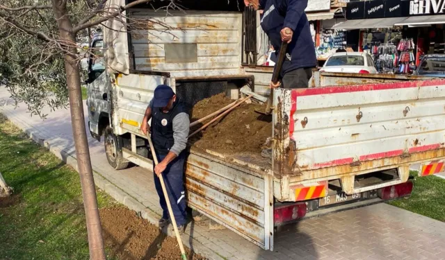 Bursa Gemlik'te çevre düzenleme çalışmaları devam ediyor