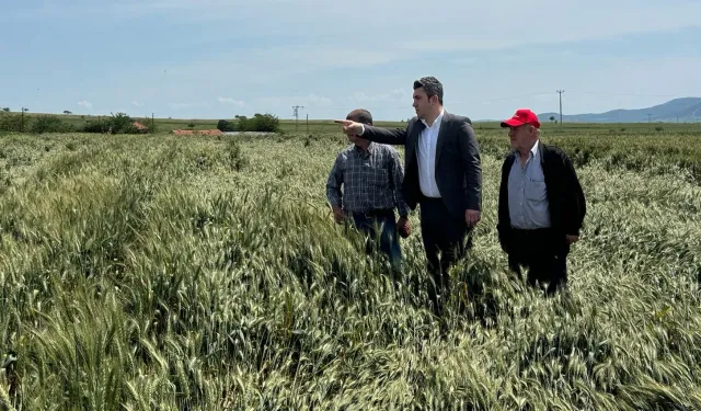 CHP Keşan’dan 6 aydır ödenmeyen buğday desteklemelerine tepki