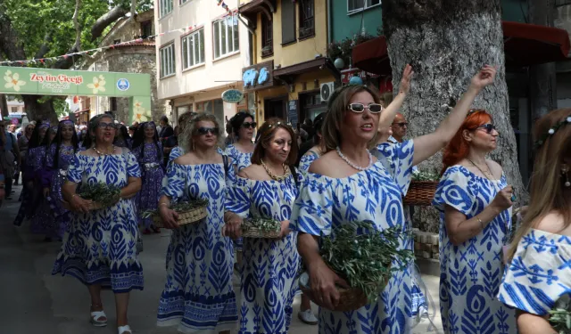 Bursa Mudanya'da zeytinin bereketi Tirilye sokaklarına taştı