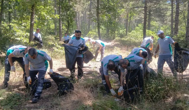 Bursa ormanlarında yangınlara karşı 'temizlik' seferberliği!