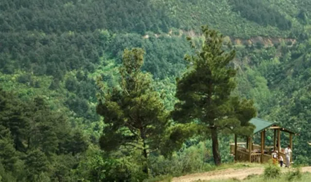 Bursa’da ormanlara giriş 15 Ekim'e kadar yasaklandı!