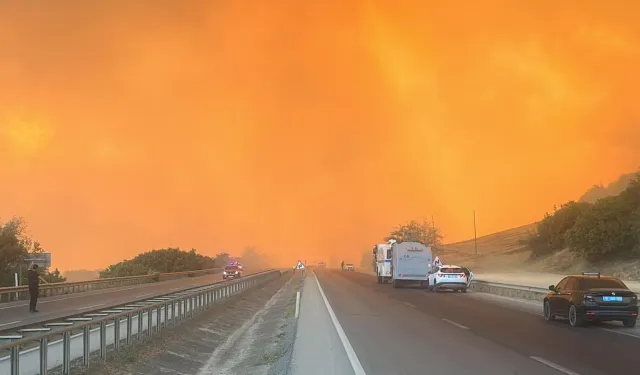 Bursa Yenişehir'de orman yangınına yoğun müdahale