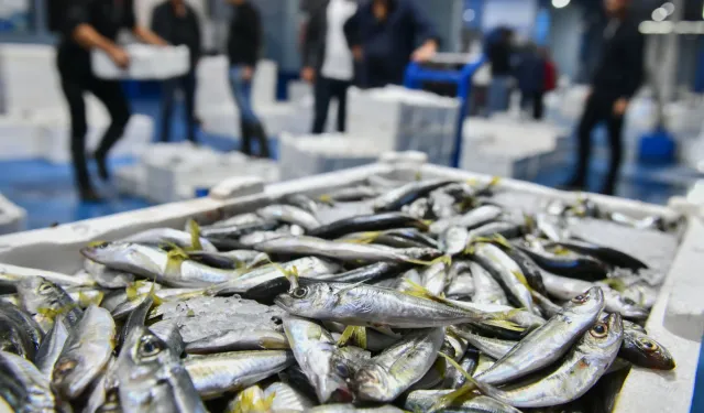 Ankara'da balık sezonu başladı, denetimler sıklaştı