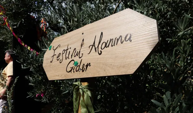 Bursa Gemlik Zeytini'nde uluslararası coşku