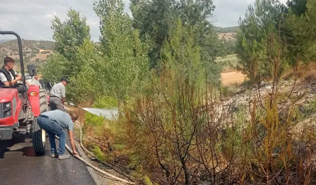 Bursa Yenişehir’de alevler ormana ulaşmadan söndürüldü