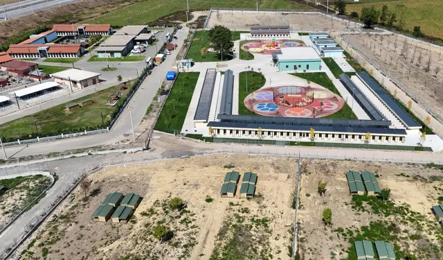 Sakarya’da sokak hayvanları için örnek çalışma