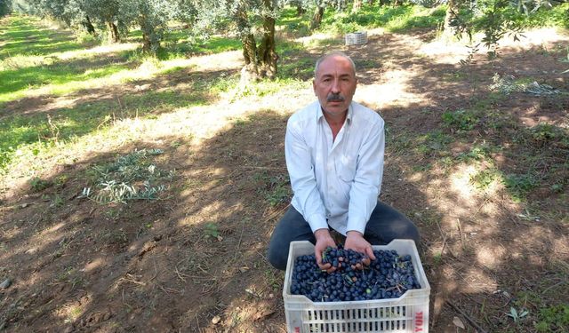 CHP’li Eşiyok’tan Marmarabirlik’e sert tepki