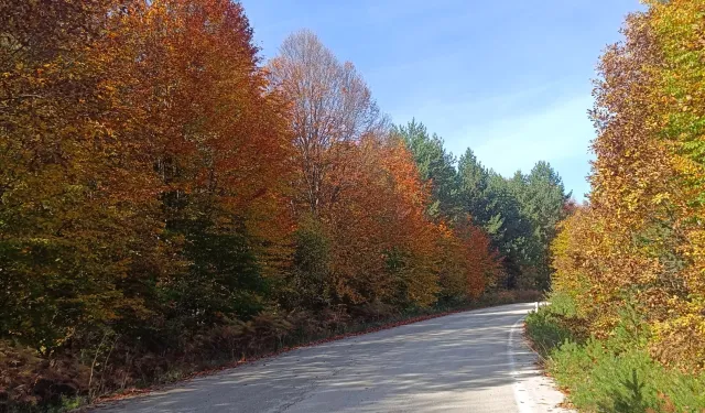 Bilecik Bozcaarmut'ta sonbahar büyüsü