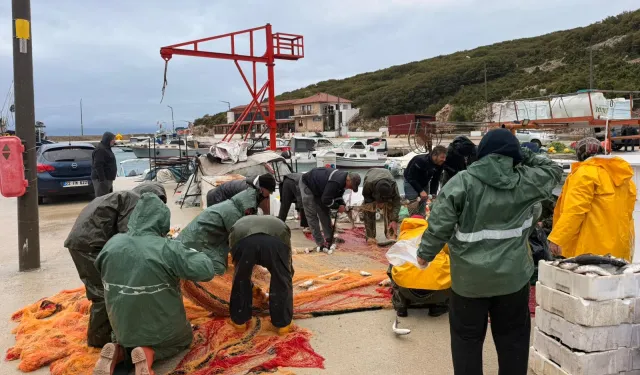 Edirne Mecidiye'de yıllar sonra kara kefal bereketi!