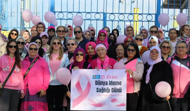Kocaeli'de meme kanserine 'pembe kurdele' ile dikkat çektiler