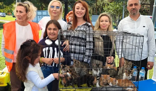 'Satın Alma, Sahiplen' etkinliğinde can dostlara yeni yuvalar