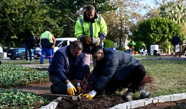 Antalya Muratpaşa'da Trafik Parkı çiçek bahçesine dönüştü