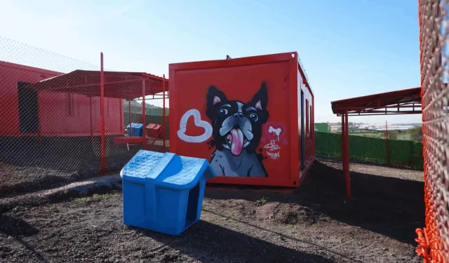 Balıkesir'de can dostlar için doğal yaşam alanı