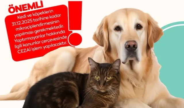 İnegöl'de evde kedi-köpek besleyenlere mikroçip uyarısı