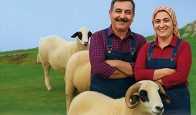 Denizli Büyükşehir'den üreticiye koyun ve koç desteği