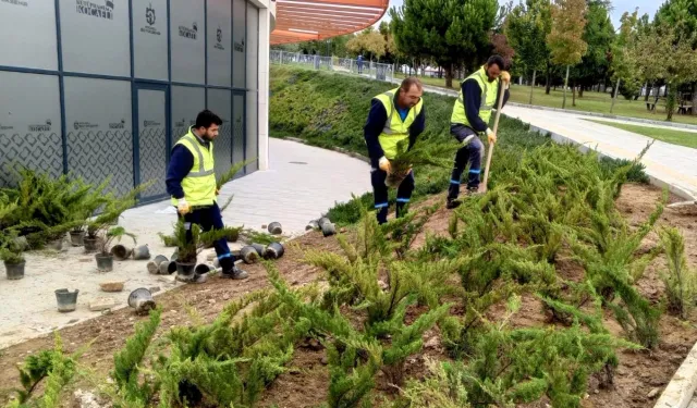 Dilovası Millet Bahçesi'nde dip köşe temizliği