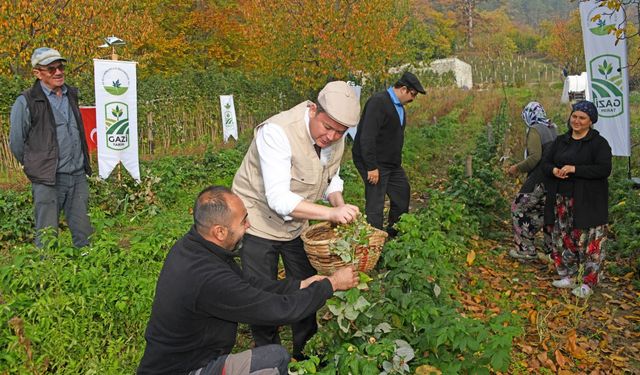 Bursa Osmangazi’de İlk Hasat Başkan Aydın’dan
