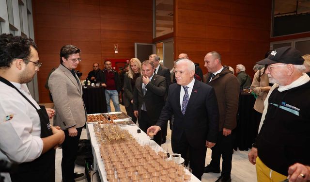 Bursa kestanesine Büyükşehir’den destek