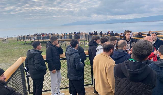 Ateş karıncalarından tarih gezisi