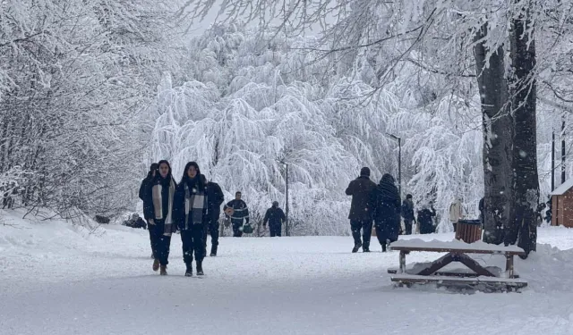 Kocaeli Ormanya, 2025'te de doldu taştı