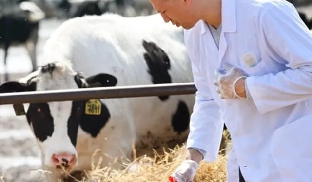 Tarımsal girdiler yüzde 33,66 arttı... Veteriner harcamaları yine zirvede!