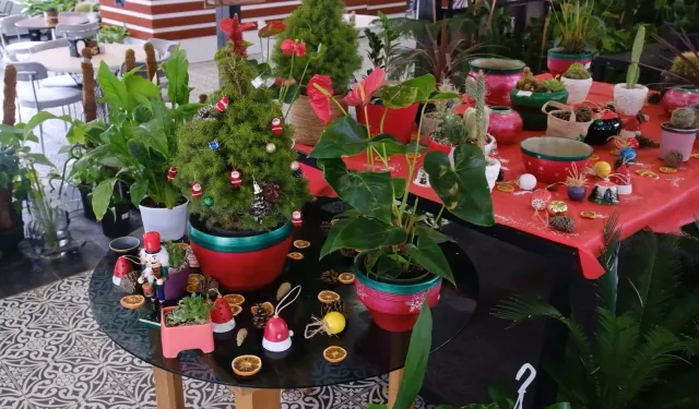 ANFA Bitki Evleri'nde yeni yılın çiçekleri sunuldu