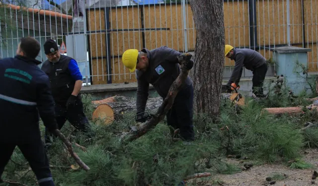Bursa Osmangazi'de lodosa ve sağanağa hızlı müdahale