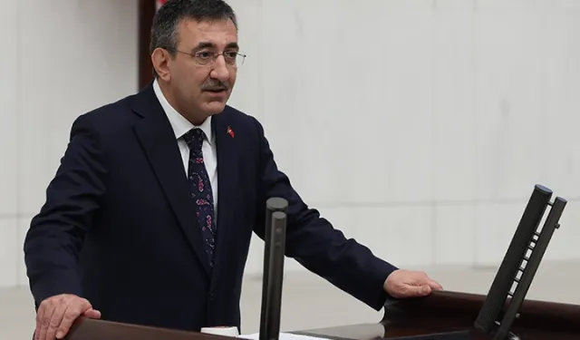 Cumhurbaşkanı Yardımcısı Yılmaz'dan 'işsizlik' yorumu