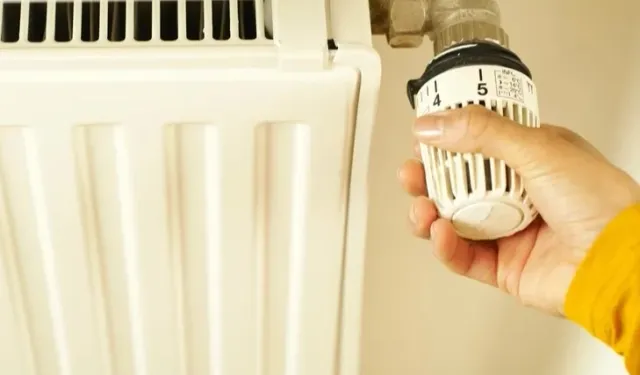 Denizli Büyükşehir'den vatandaşa kış desteği