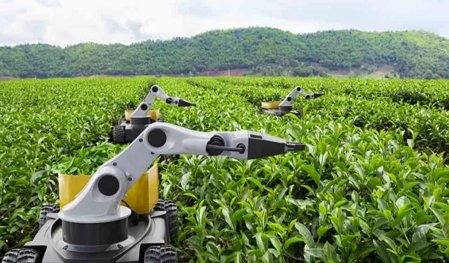 Kamu Teknoloji Platformu 2026'yı 'Kamusal Zekâ Yılı' ilan etti.