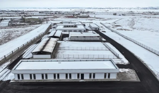 Kayseri Kocasinan'dan sokak hayvanları için sıcak yuva