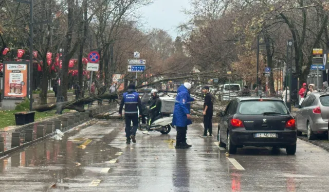 Kocaeli Büyükşehir'de lodos müdahalesi