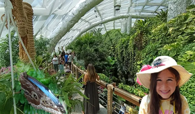 Konya'nın tropikal turizm yıldızı... 2025'te de ziyaretçi akınına uğradı