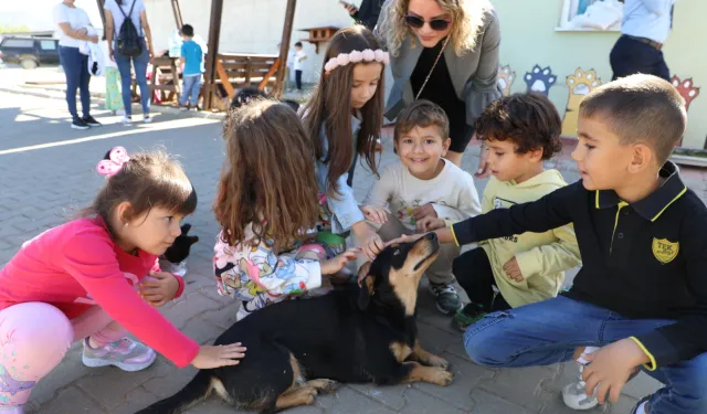 Muğla Büyükşehir 4 bin 34 cana yuva oldu