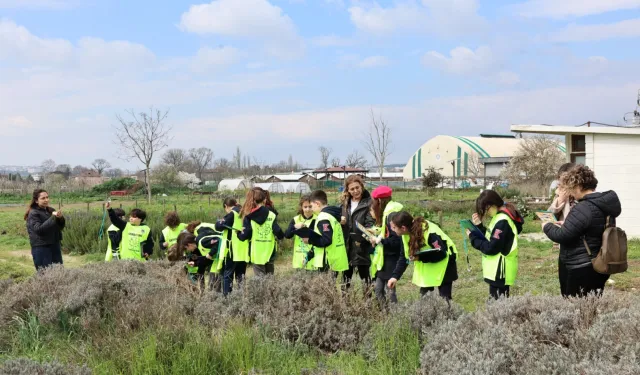 Bursa Nilüfer'de Bostan Kaşifleri tarımı deneyimledi