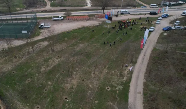 Nilüfer'de Unçukuru Mahallesi'ndeki atıl arazi Umut Ormanı oluyor