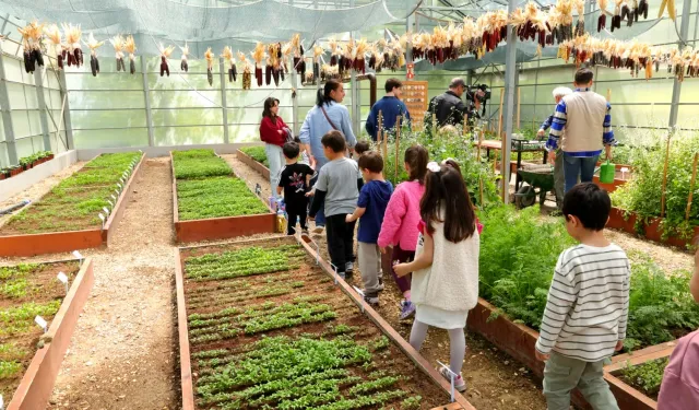 Bursa Osmangazi'de çocuklar toprak sevgisini öğreniyor