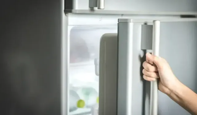 Buzdolabı üzerinde magnet kullananları uzmanlar uyardı!