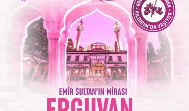 Bursa'da 600 yıllık Erguvan Bayramı geleneği yeniden hayat buluyor