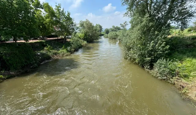 Bursa'da Yenişehir Ovası yağmurlarla şenlendi