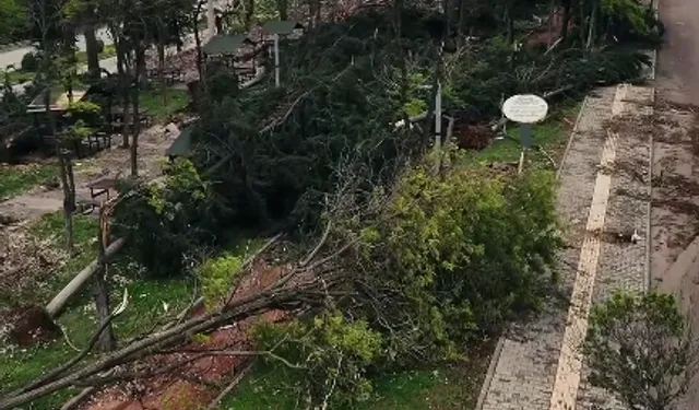 Gaziantep'e 50 milyon TL aktarıldı