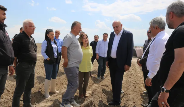 Konya'da patates atağı... İthal tohum dönemi sona eriyor