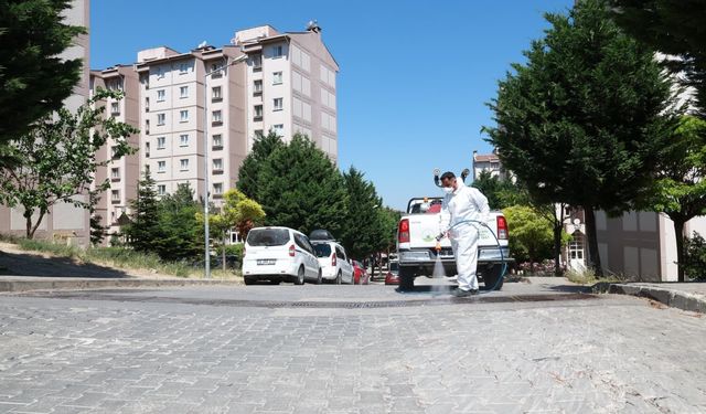 Osmangazi Belediyesi’nden Haşerelere Karşı Etkin Mücadele