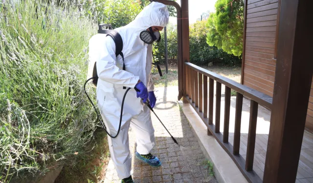 Bursa Nilüfer'de haşere ve kemirgen mücadelesi
