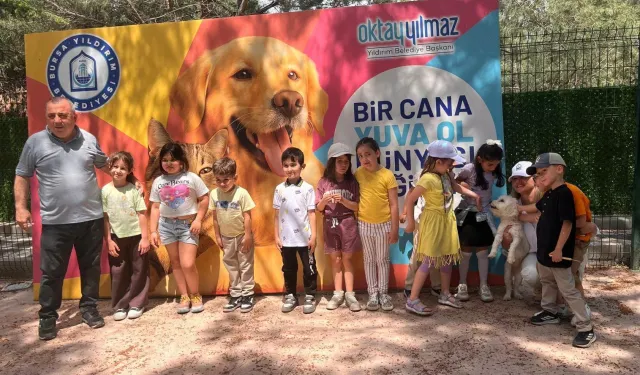 Bursa Yıldırım'da sahisiz sokak hayvanları öğrencileri ağırladı