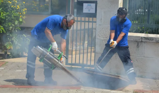 Antalya'da vektörel mücadele 4 koldan sürüyor