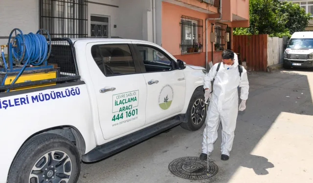 Bursa Osmangazi'de haşereye karşı anında müdahale
