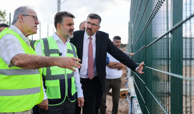Bursa'da sokak hayvanları için doğal yaşam alanı