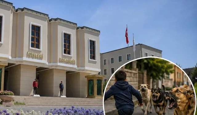 Halfeti'deki köpek saldırısıyla ilgili Mülkiye Müfettişi görevlendirildi